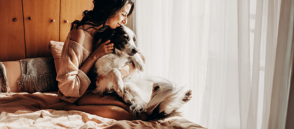 the owner calms the dog on the bed.