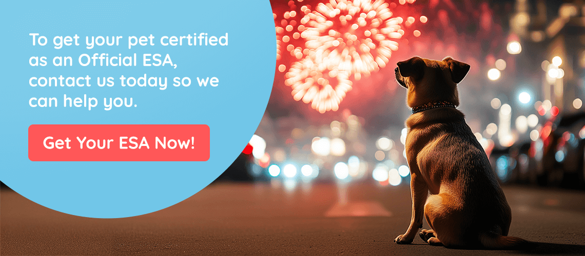 CTA "Get Your ESA Now" picture of a dog in front of fireworks