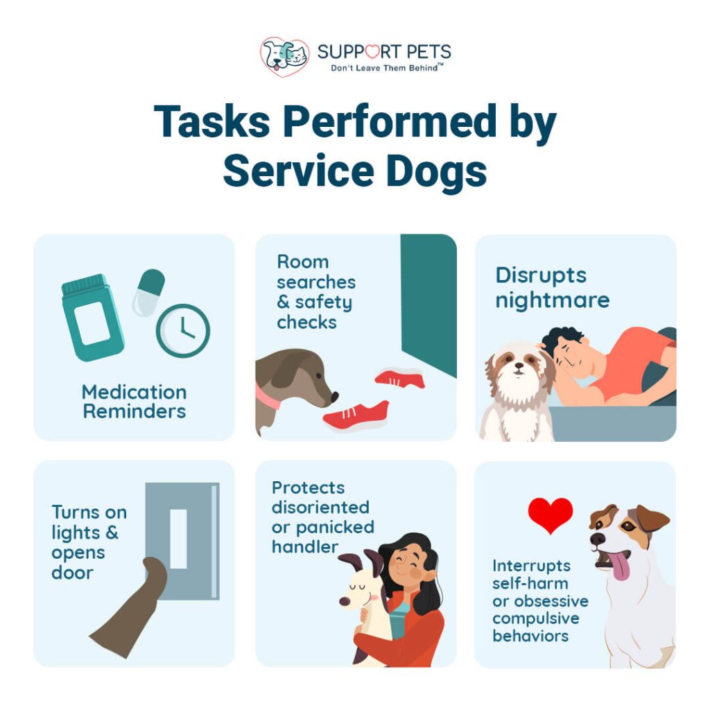 Tasks Performed by Service Dogs
