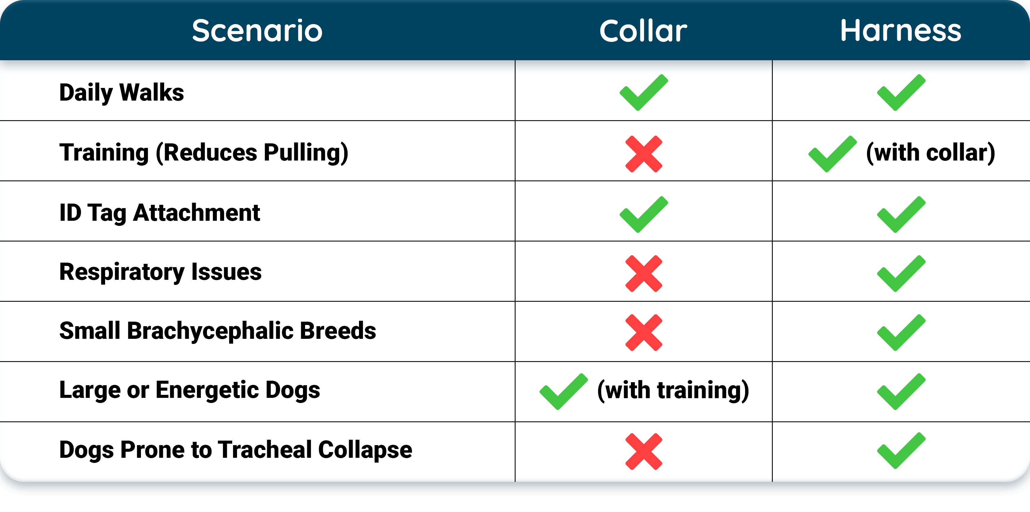 Collars vs. Harnesses: The Pros and Cons​